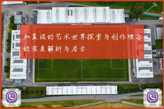 加莱诺的艺术世界探索与创作理念的深度解析与启示